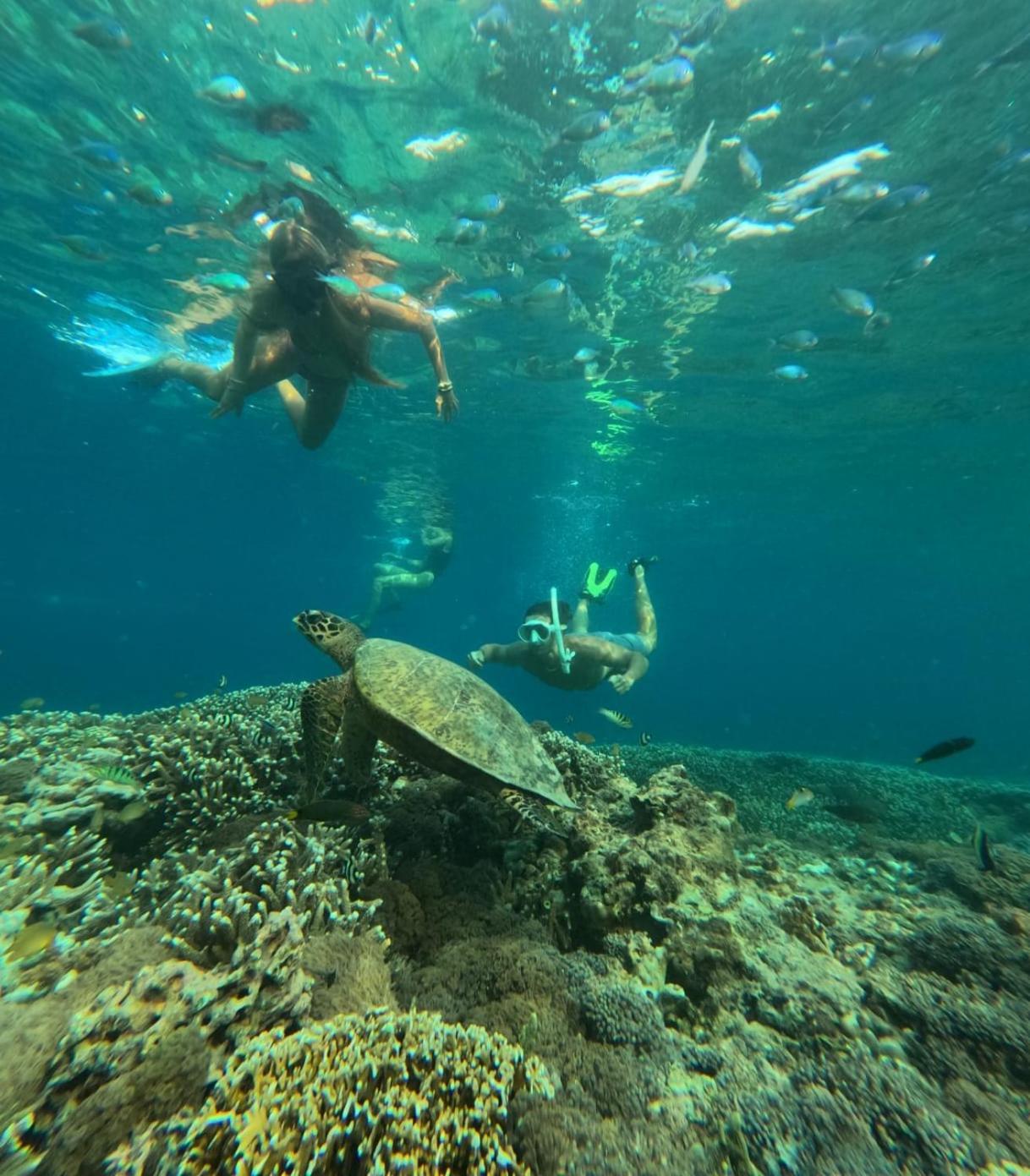 Pondok Anjani Gili Meno Esterno foto