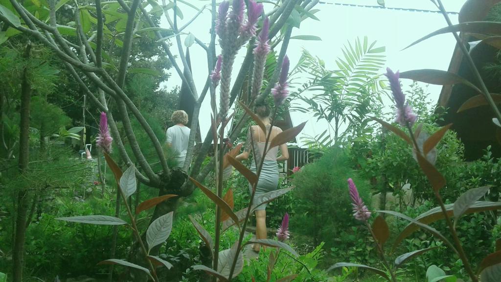 Pondok Anjani Gili Meno Esterno foto